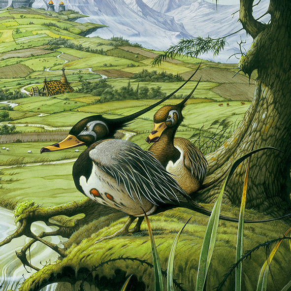 Belvedere open edition print - close up of ducks